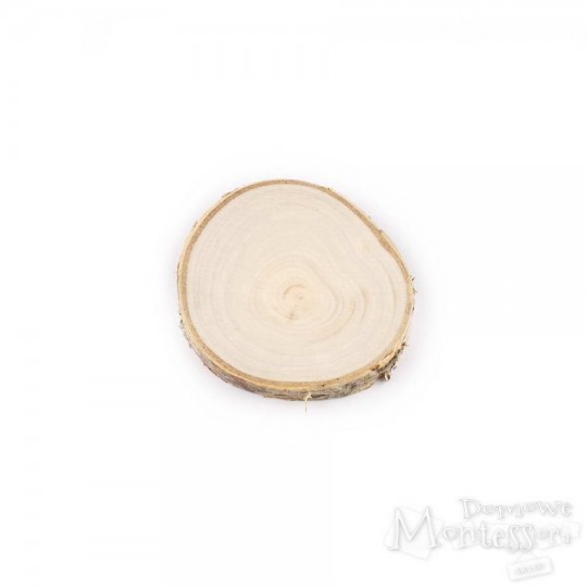 Plaster brzozowy 7-8 cm