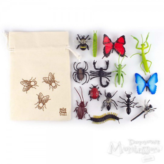 Figurki owadów w woreczku
