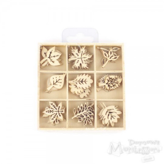 Kształty ze sklejki - liście, 45 sztuk