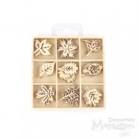 Kształty ze sklejki - liście, 45 sztuk