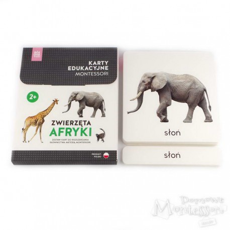 Karty - zwierzęta Afryki + memo