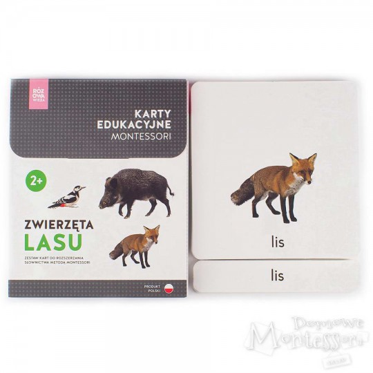 Karty - zwierzęta lasu + memo