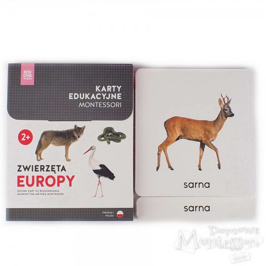 Karty - zwierzęta Europy + memo