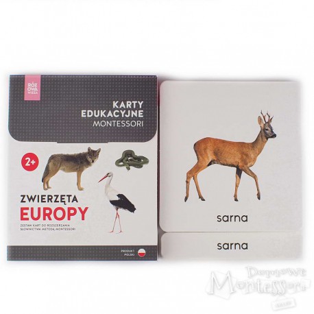 Karty - zwierzęta Europy + memo