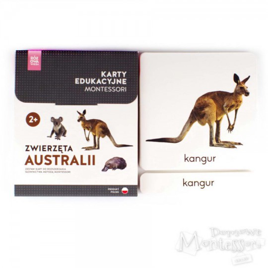 Karty - zwierzęta Australii
