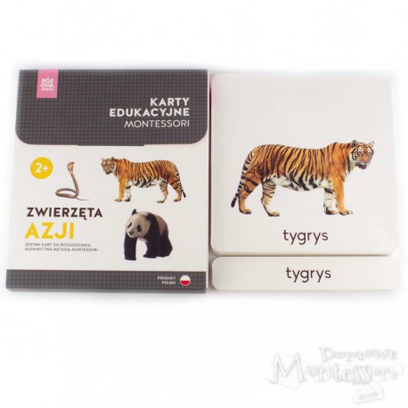 Karty - zwierzęta Azji + memo