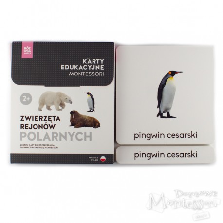 Karty - zwierzęta rejonów polarnych