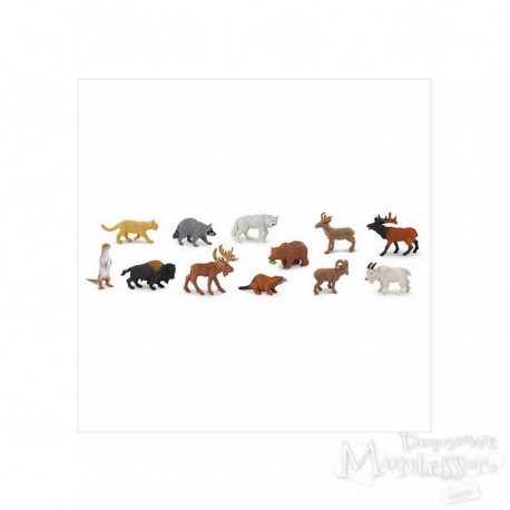 Tuba - Ameryka północna