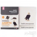 Karty - zwierzęta Ameryki Północnej + memo