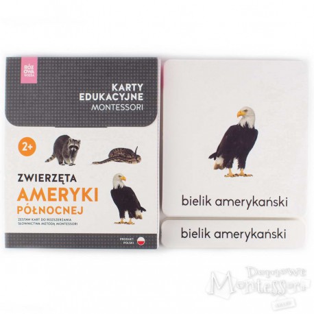 Karty - zwierzęta Ameryki północnej + memo