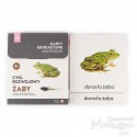 Karty - cykl rozwojowy żaby