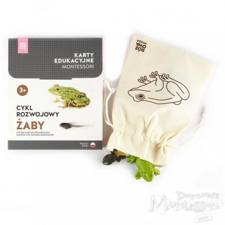 Cykl rozwojowy żaby (komplet karty i figurki)