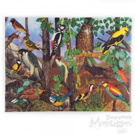 Puzzle edukacyjne: ptaki w lesie